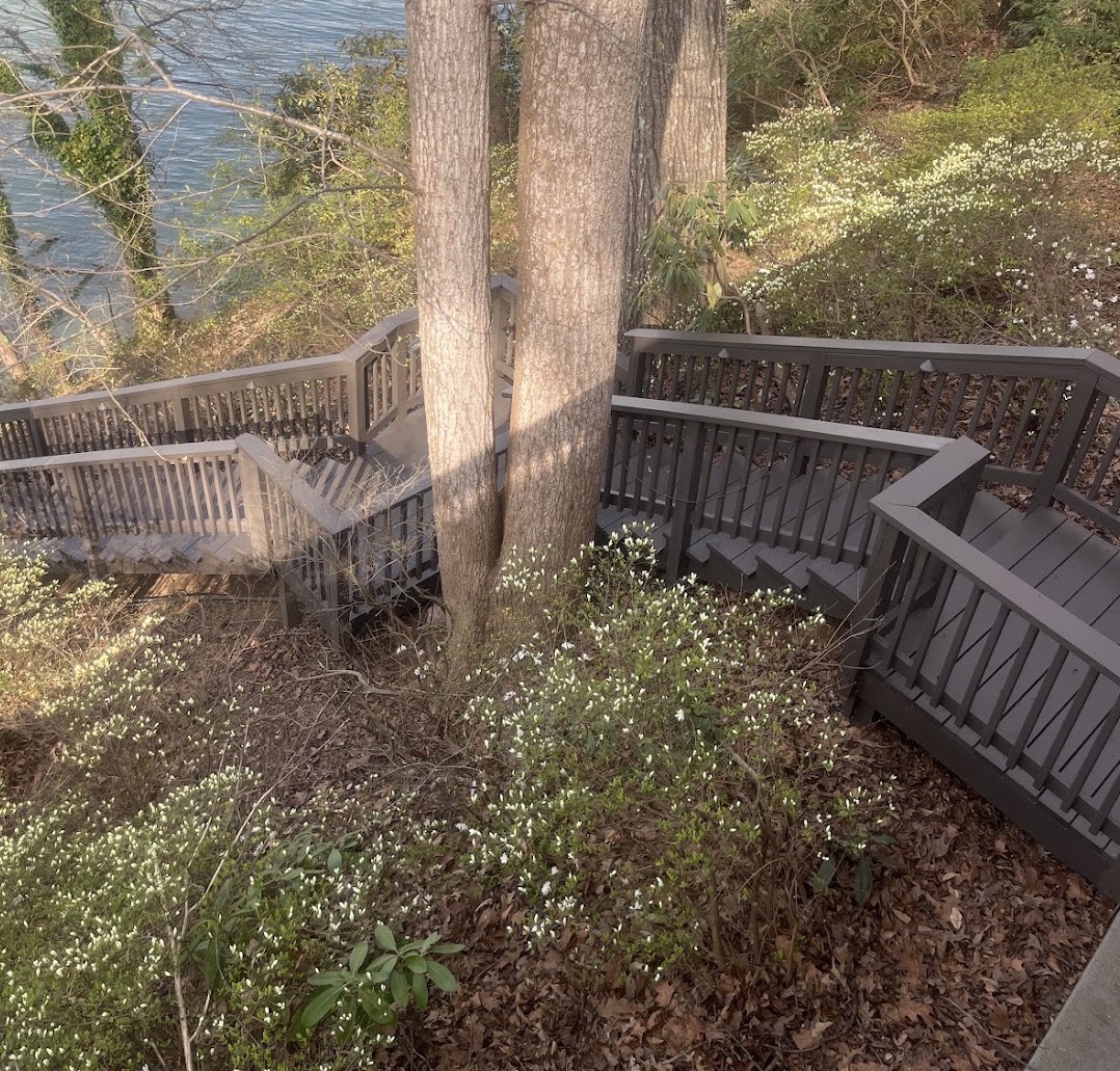 Stained deck stairs leading down toward the lake in Sherrills Ford